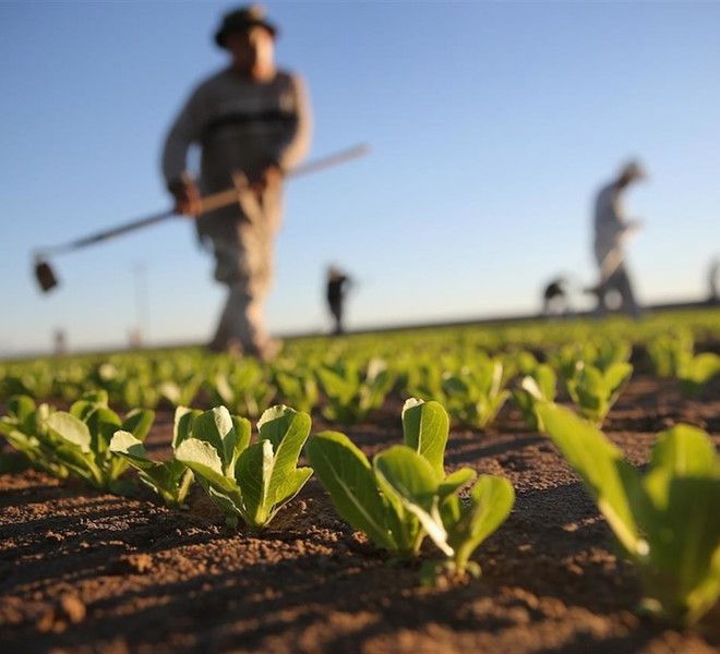 agricoltore in azione