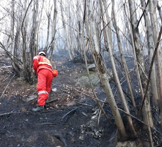 Incendi, la Regione revoca lo stato di massima pericolosità per i boschi piemontesi