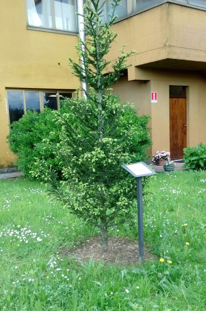 Centrale del Latte, "Un dono per tutti" ha raccolto ben 6000 regali per i bimbi meno fortunati Centrale del Latte, "Un dono per tutti" ha raccolto ben 6000 regali per i bimbi meno fortunati