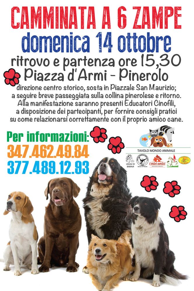 Uomo-Cane a spasso insieme: è la &quot;Passeggiata a sei zampe&quot;