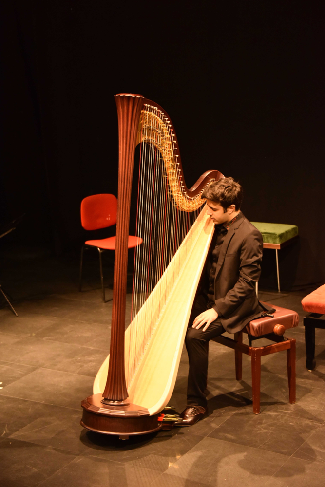 Villa della Regina, una cornice da favola, accompagnata dalle note dell'arpa