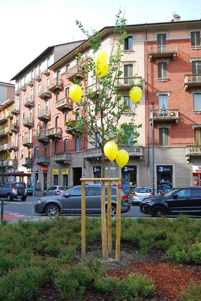 Corso Belgio in verde con “Regala un albero alla tua città”