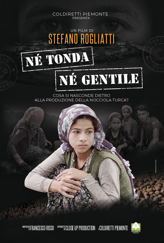 Concorrenza sleale nel mondo della nocciola: il Piemonte lancia il suo grido d'allarme con "Né tonda, né gentile" Concorrenza sleale nel mondo della nocciola: il Piemonte lancia il suo grido d'allarme con "Né tonda, né gentile"