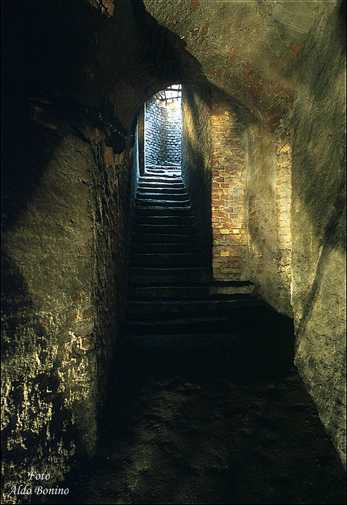 I torinesi si riscoprono turisti nella propria città