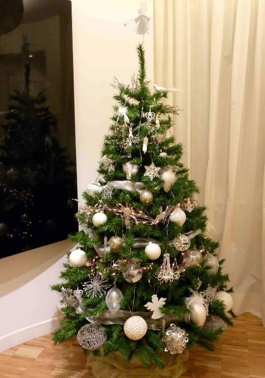 Albero di natale: come farlo sopravvivere alle Feste?