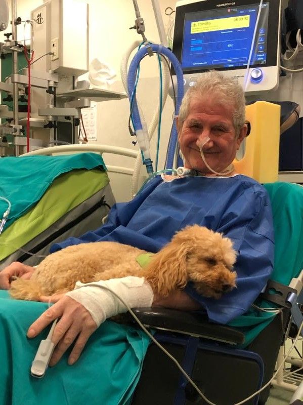 Tutte le foto sono tratte dalla pagina Facebook &quot;UAM Umanimalmente&quot;
