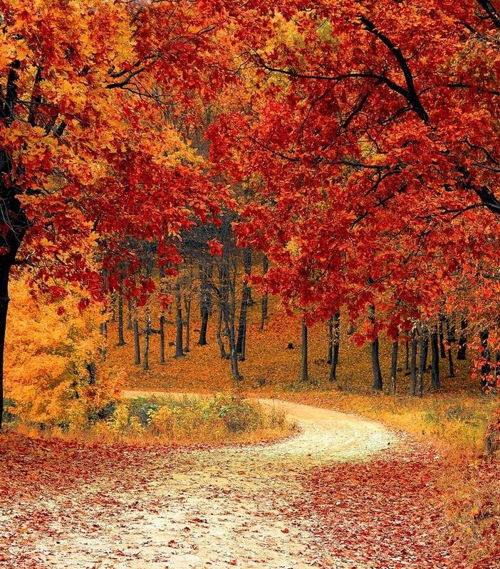 Quale autunno ci aspetta quest'anno?