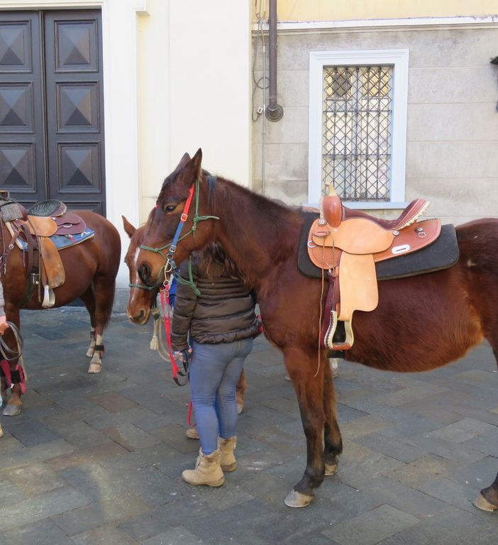 Festa solenne di Sant’Antonio Abate a Settimo Torinese