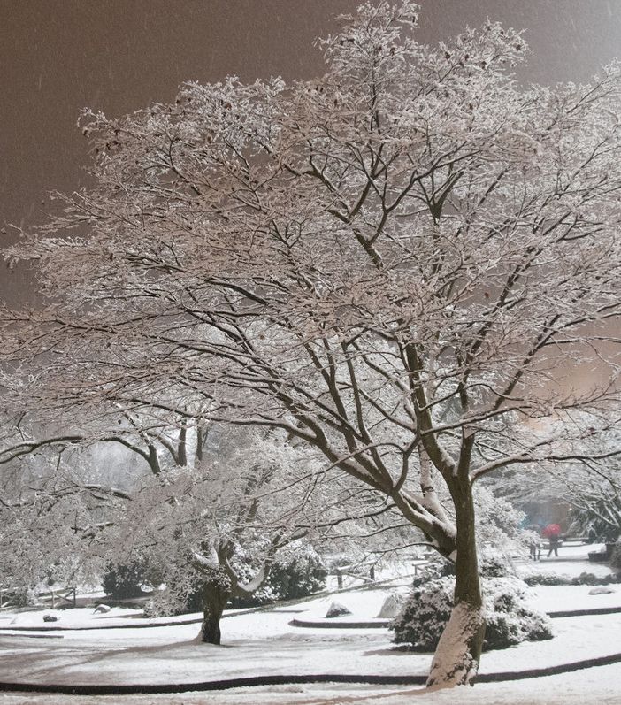 il parco del Valentino sotto la neve