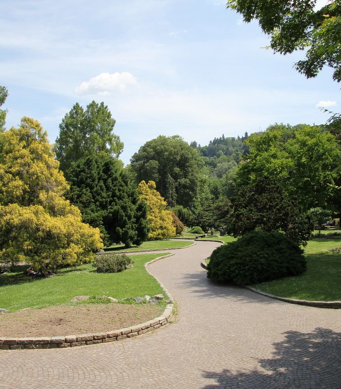 Ha un infarto mentre fa jogging al parco del Valentino: l'ambulanza rimane bloccata dai dissuasori