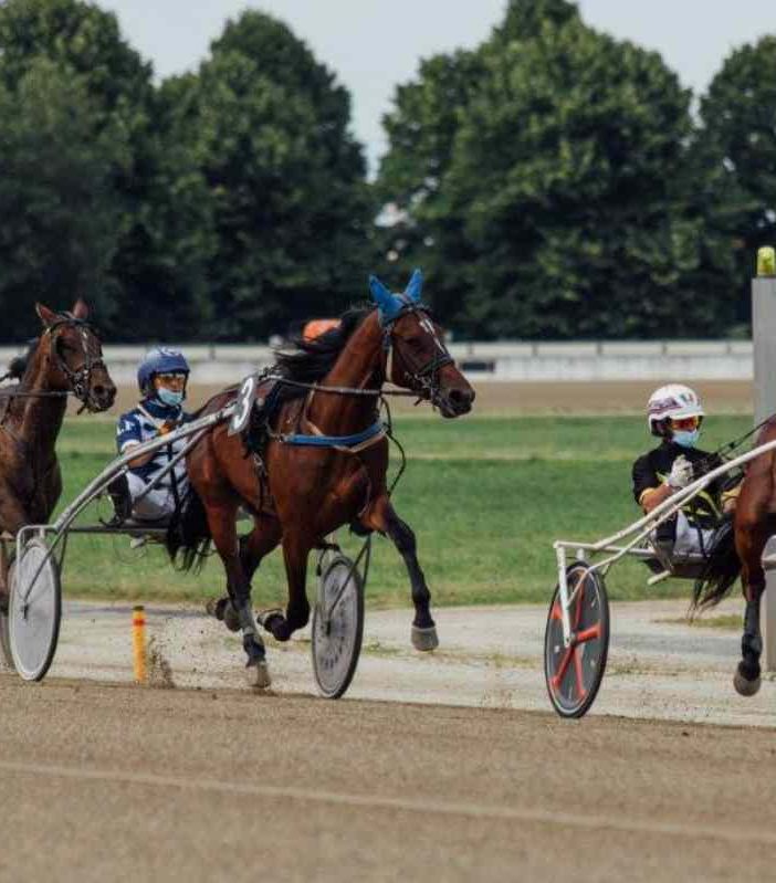 Ippodromo di Vinovo, sabato 7 novembre tutti in pista rispettando le regole