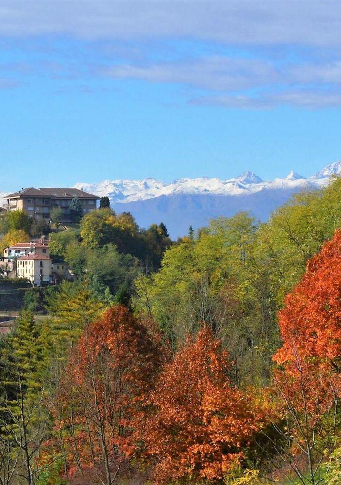 Castiglione - San Mauro: nasce &quot;Boschi dei Bric&quot; per la valorizzazione del patrimonio boschivo