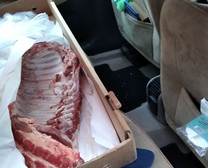 Polizia municipale sequestra 17 chili di carne fresca trasportati sui sedili di un'auto