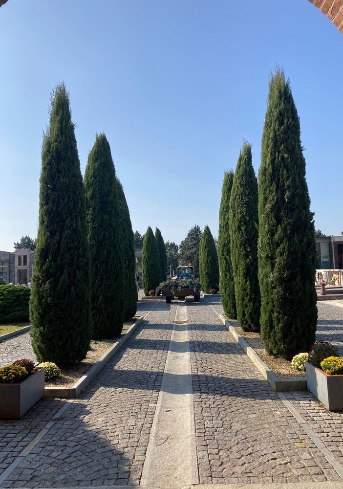 Il cimitero di Chivasso