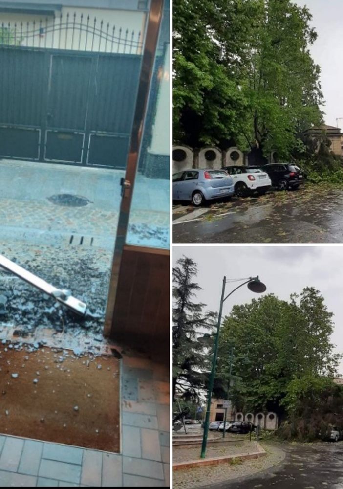 Torna la grandine nel chivassese: alberi caduti sulle auto in viale Vittorio Veneto