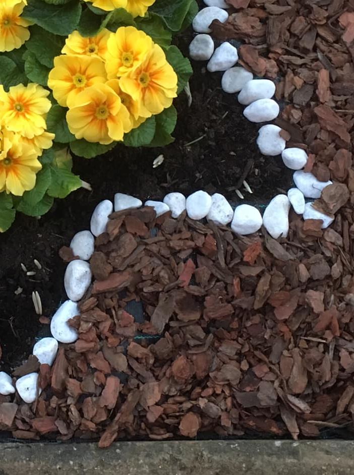 I fiori gialli piantati dai bambini