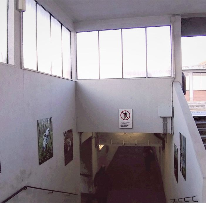 Alcune delle opere che è possibile ammirare in stazione