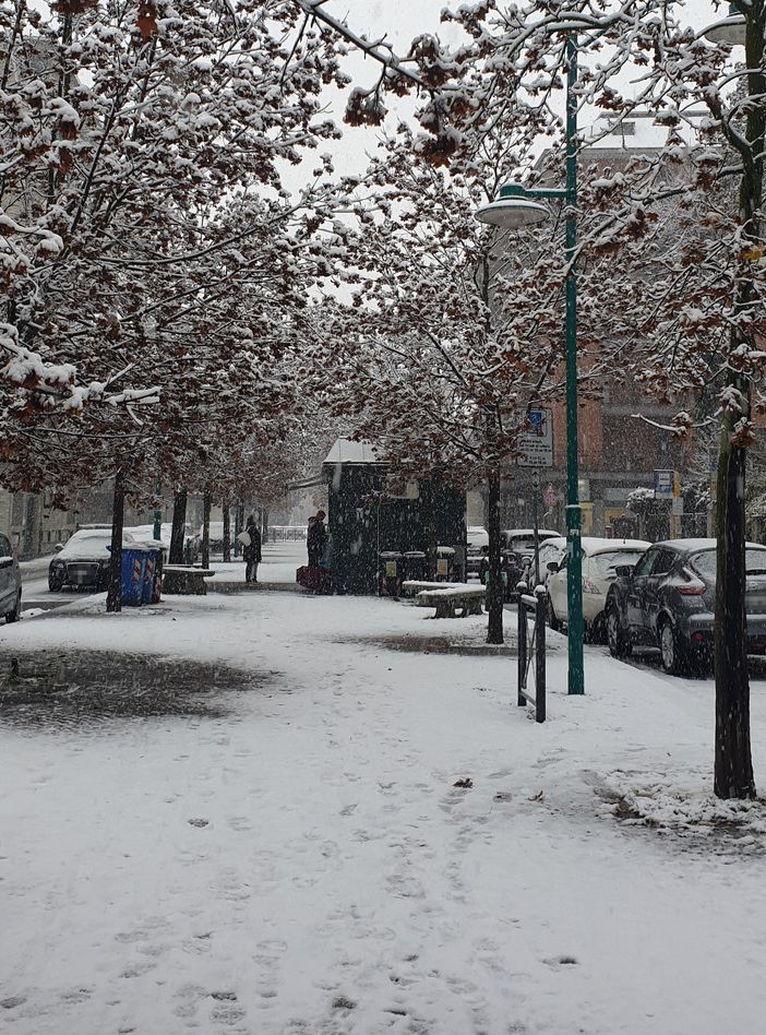 La neve nei viali di Chivasso