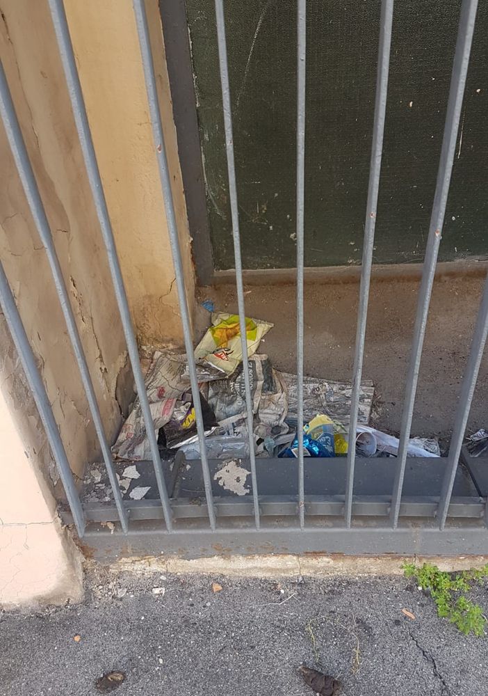 Tra deiezioni canine e rifiuti, via Ceresole affoga nel degrado. Petrarulo: “Quando la pulizia?”