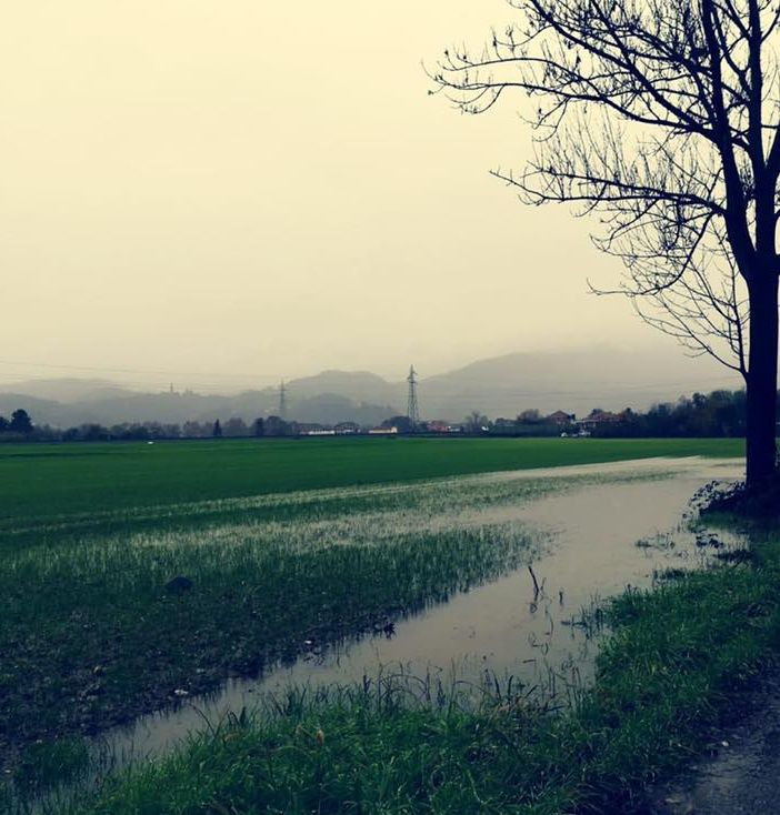 Più di un milione di euro per mettere in sicurezza il rio Freidano di Settimo Torinese