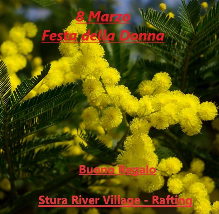 Festa della Donna: Regala un'esperienza indimenticabile!