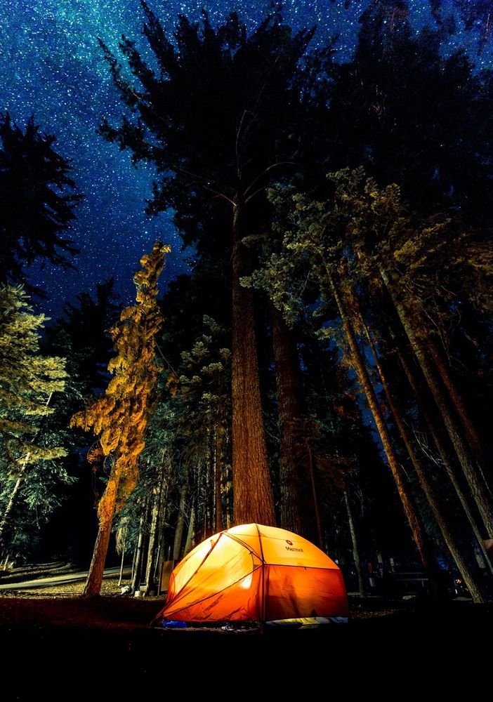 Tra natura e relax: scopri come andare in vacanza in camping