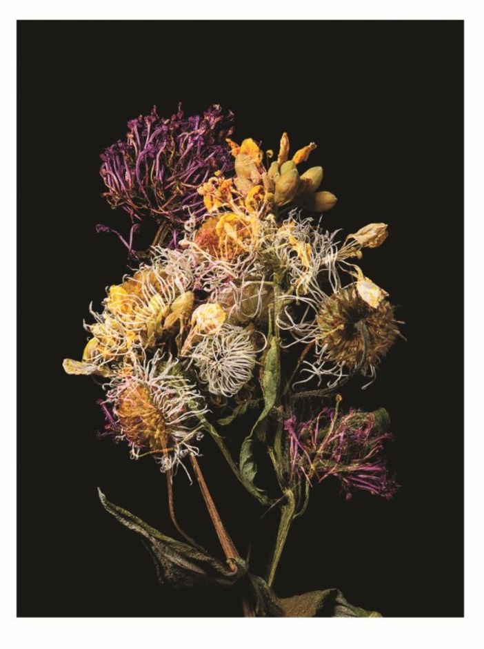 Olga Cafiero vince il Garesio Wine Prize for Documentary Photography&quot;