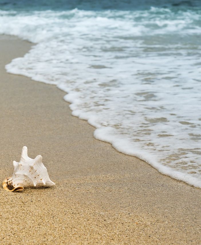Le spiagge più belle di Alghero: dove andare