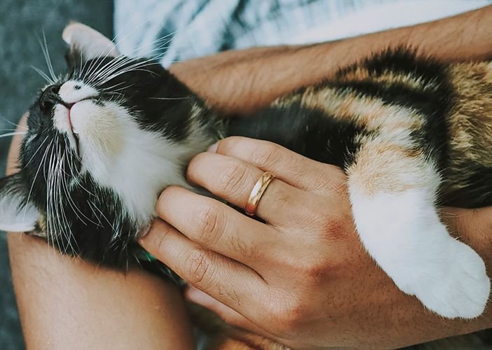 I consigli essenziali per prendersi cura del tuo amico a quattro zampe