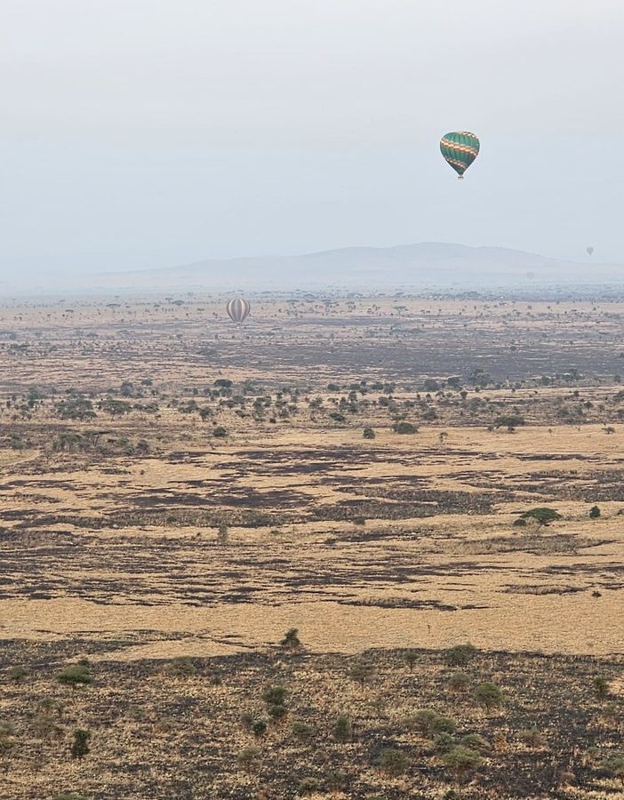 Safari in Tanzania: un viaggio oltre l'immaginazione