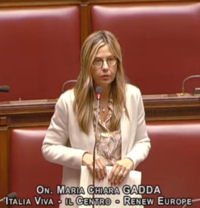 Peste suina africana, Gadda (Iv): &quot;Serve cambio di passo. Per il Governo sembra che l’emergenza sia iniziata oggi&quot;