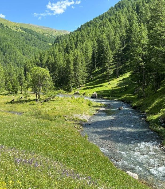 Settimana green e &quot;Green wall&quot;: il Des Ambrois &quot;fa la scelta giusta&quot; con docenti e studenti, dialogando con il territorio valsusino