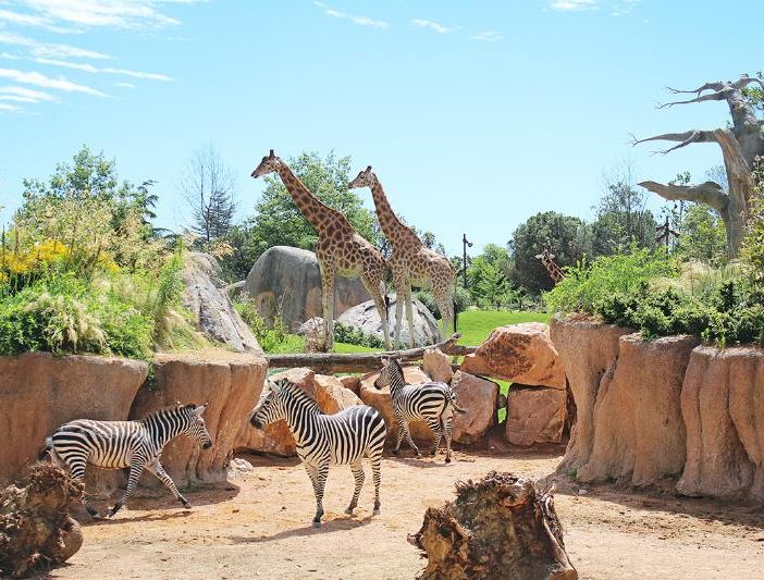 Zoom di Cumiana lancia ‘Grrreen’, il festival della biodiversità