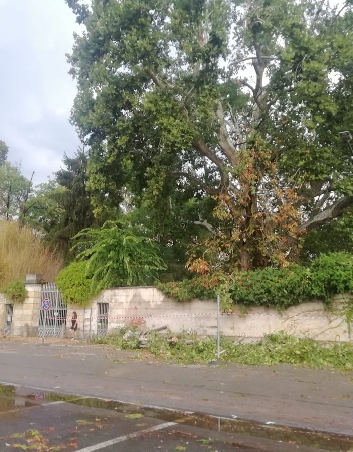 Nubifragio a Cavour: vigili del fuoco al lavoro [FOTO]