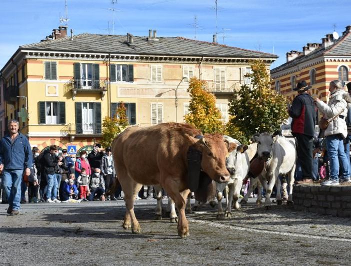 Luserna San Giovanni attende la carica dei 4 mila e adegua il percorso