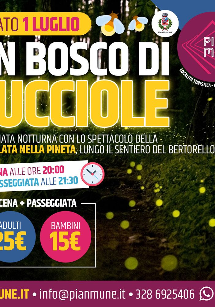 Pian Munè di Paesana: le lucciole nel bosco