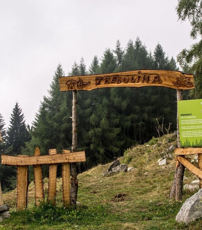 Il bosco della Trebulina