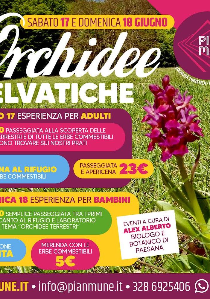 Pian Munè di Paesana: le Orchidee Selvatiche