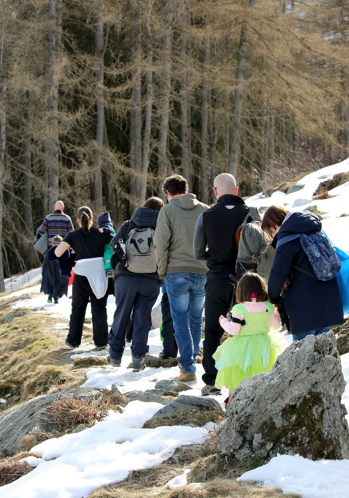 Pian munè: Giornata delle Foreste con Notturna nel bosco