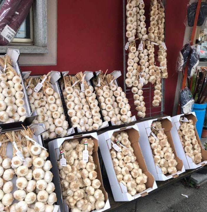 Tra Ringraziamento e aglio: Pinasca fa festa due giorni