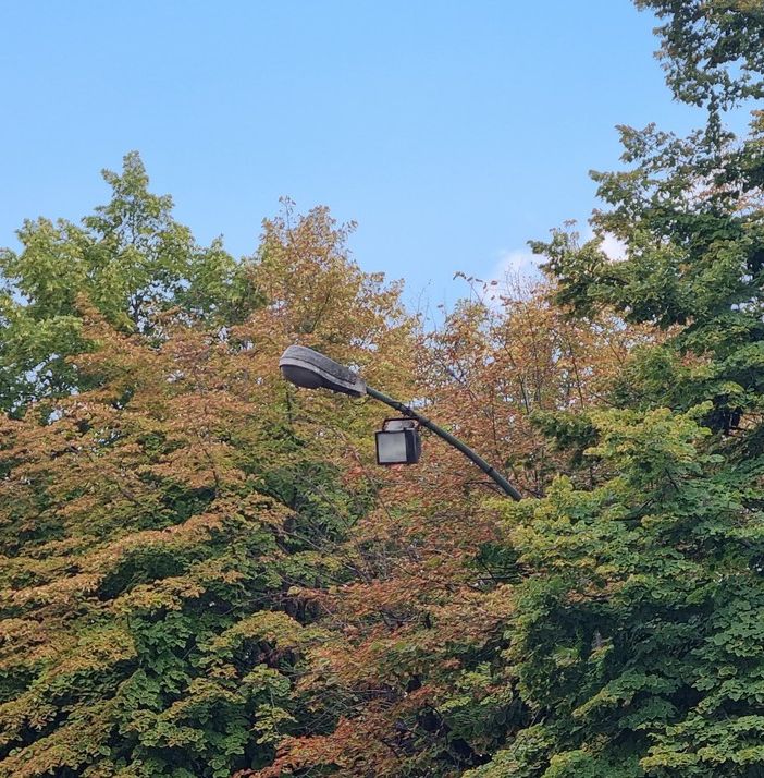 Rivoluzione led: da domani i lampioni di Pinerolo passano ad Aeb e Selettra