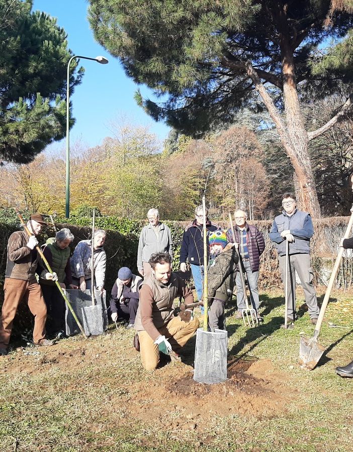 La piantumazione di novembre nei giardini privati di strada Serena a Pinerolo