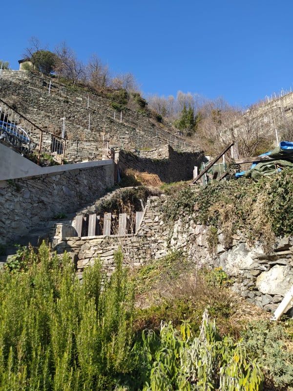 Il versante roccioso sopra il concentrico di Pomaretto