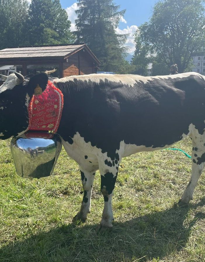 Regina, la prima Miss Manza