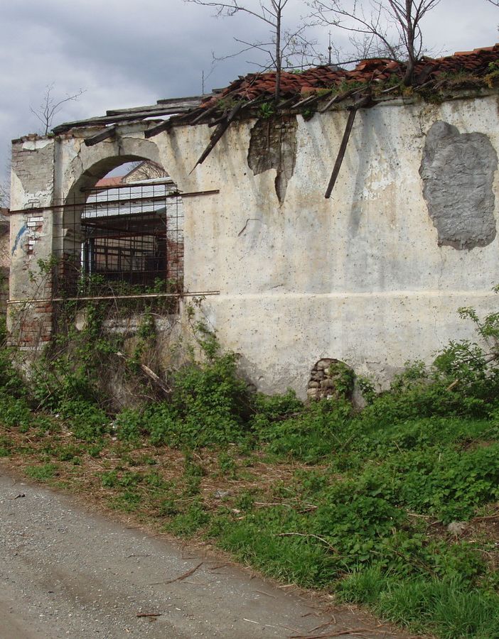 (Foto di Remo Caffaro)