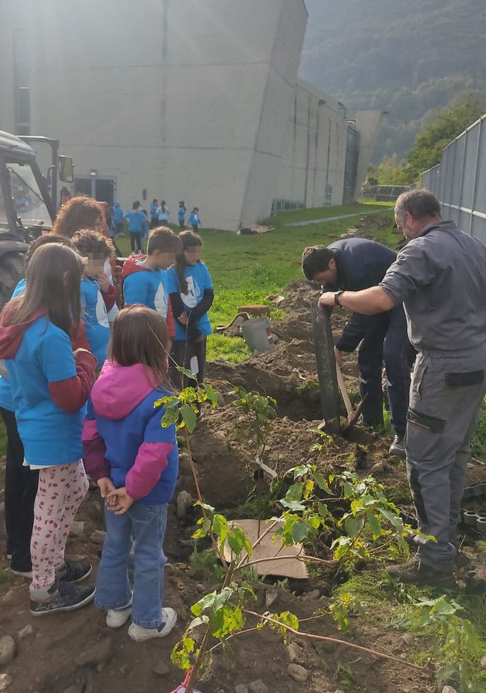 La piantumazione degli alberi al palazzetto del ghiaccio di Torre Pellice