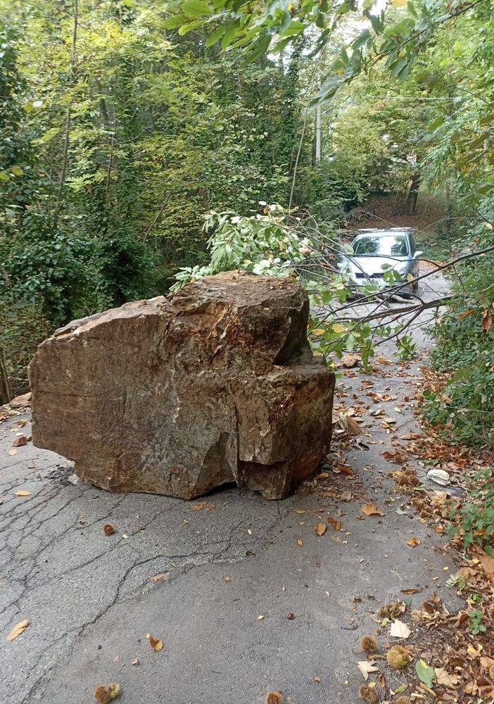 Torre Pellice: un masso rotola dai boschi in strada e blocca via Coppieri