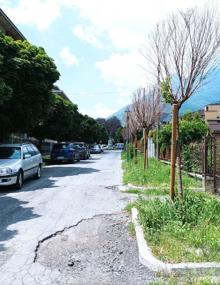 Viale Trento