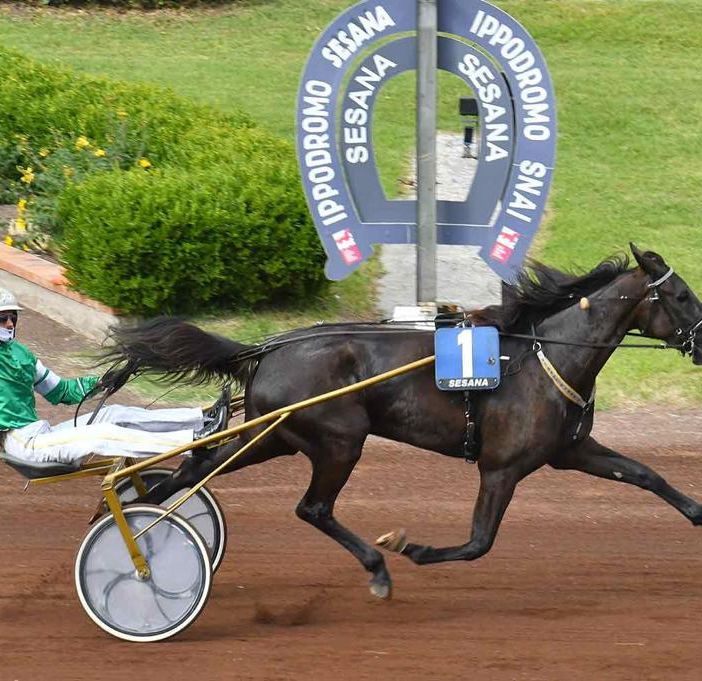 Blackflash Bar in un'immagine di repertorio