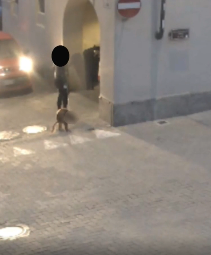 Vigone abbandono di deiezioni canine